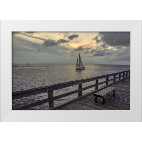 Cedar Beach White Modern Wood Framed Art Print by DeLuca, Pat