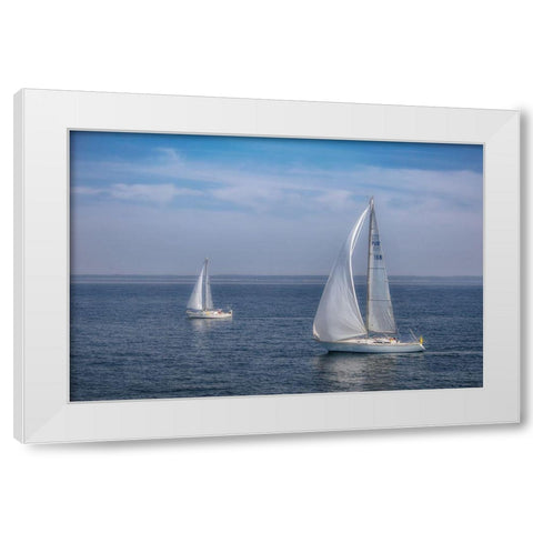 Sail Boats White Modern Wood Framed Art Print by DeLuca, Pat