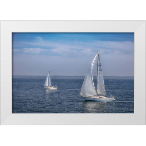 Sail Boats White Modern Wood Framed Art Print by DeLuca, Pat