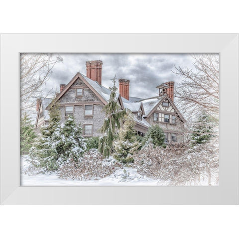 Aboretum December 1 White Modern Wood Framed Art Print by DeLuca, Pat