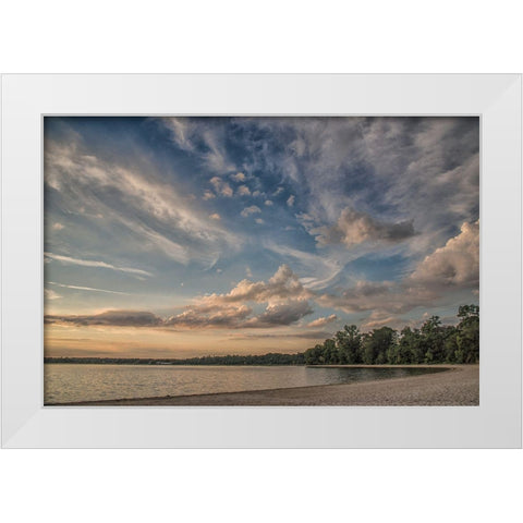 Idea Of Existence White Modern Wood Framed Art Print by DeLuca, Pat