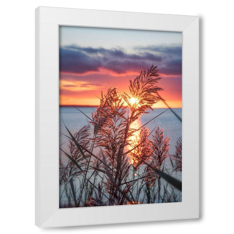 Exhilarated Potential White Modern Wood Framed Art Print by DeLuca, Pat