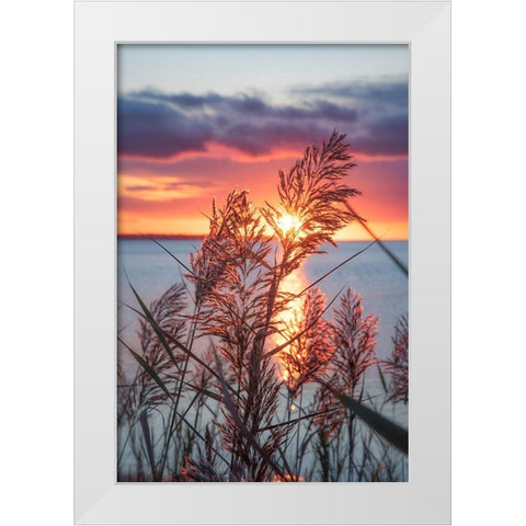 Exhilarated Potential White Modern Wood Framed Art Print by DeLuca, Pat