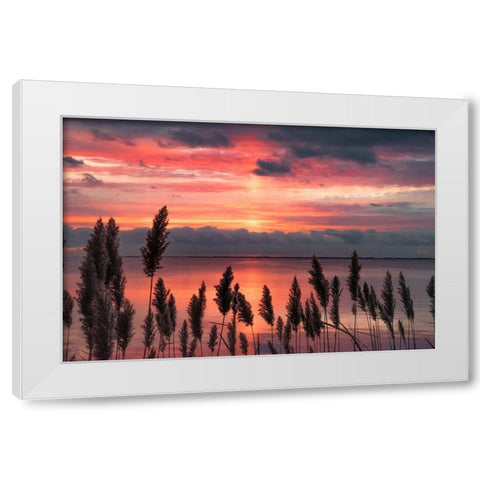 Aspiring Priority White Modern Wood Framed Art Print by DeLuca, Pat