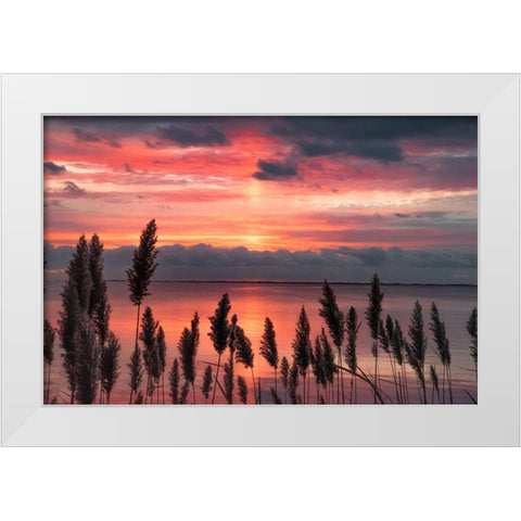 Aspiring Priority White Modern Wood Framed Art Print by DeLuca, Pat