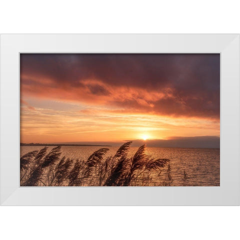 Living Belief White Modern Wood Framed Art Print by DeLuca, Pat