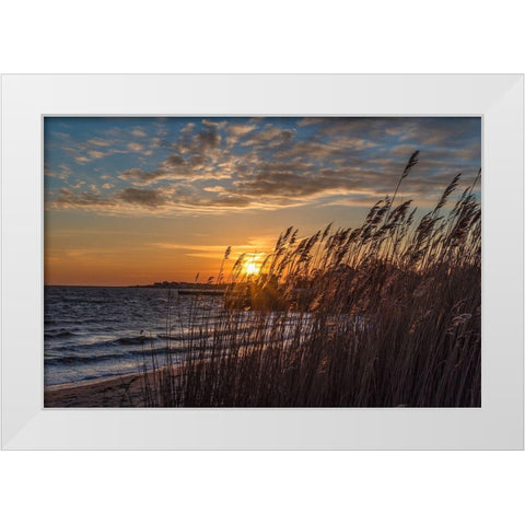 Discovery Of Redemption White Modern Wood Framed Art Print by DeLuca, Pat