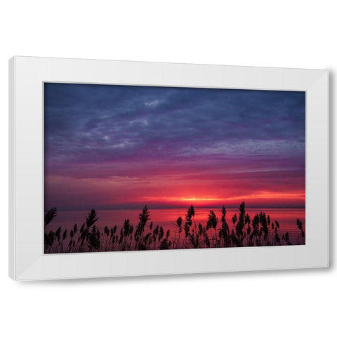 Change Of Purpose White Modern Wood Framed Art Print by DeLuca, Pat