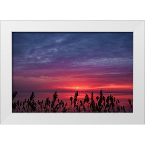 Change Of Purpose White Modern Wood Framed Art Print by DeLuca, Pat