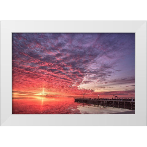 Discovery Of Grace White Modern Wood Framed Art Print by DeLuca, Pat