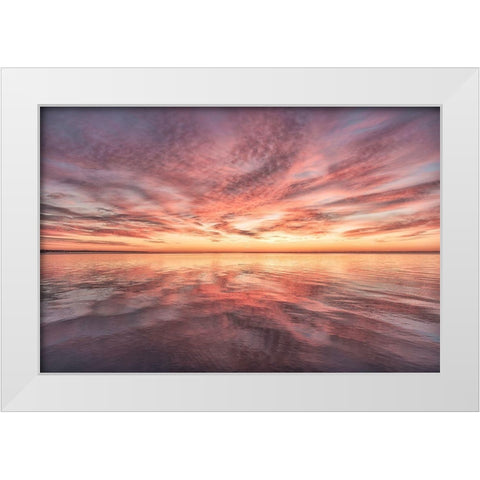 Future Omen White Modern Wood Framed Art Print by DeLuca, Pat