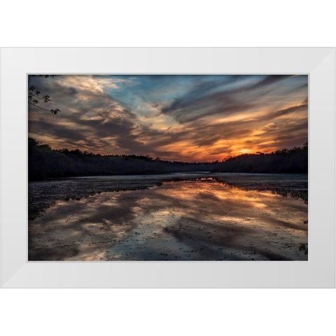 Priority Of Reflection White Modern Wood Framed Art Print by DeLuca, Pat