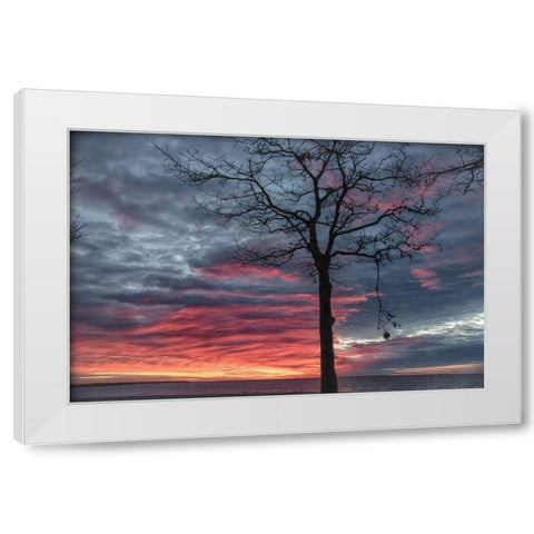 Distorted Solution White Modern Wood Framed Art Print by DeLuca, Pat