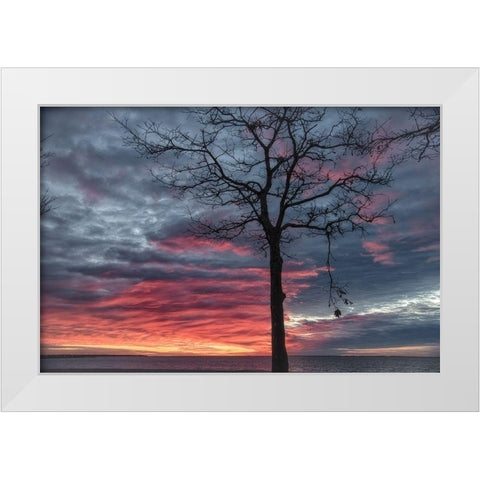 Distorted Solution White Modern Wood Framed Art Print by DeLuca, Pat
