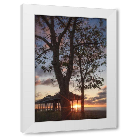 Fragile Shadows White Modern Wood Framed Art Print by DeLuca, Pat