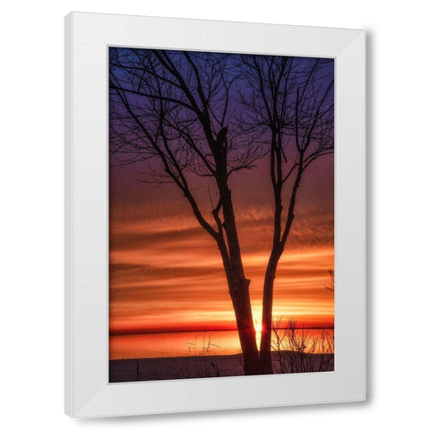 Love And Fire White Modern Wood Framed Art Print by DeLuca, Pat