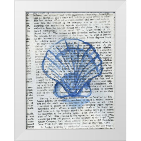 Written Seashell White Modern Wood Framed Art Print by Varacek, Pam