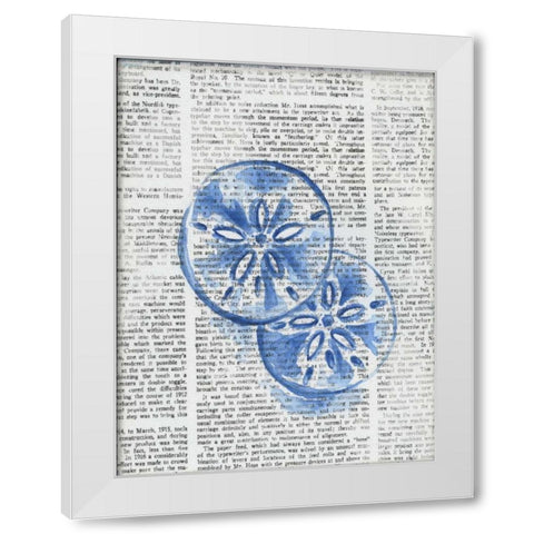 Written Sand Dollars White Modern Wood Framed Art Print by Varacek, Pam