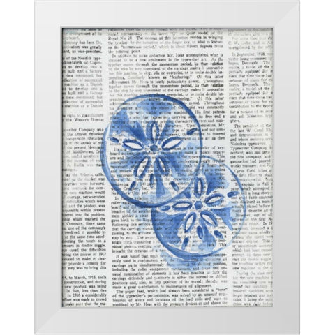 Written Sand Dollars White Modern Wood Framed Art Print by Varacek, Pam
