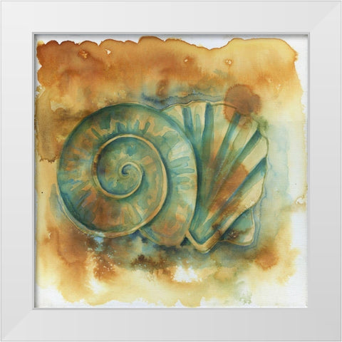 Muddy Shells White Modern Wood Framed Art Print by Varacek, Pam