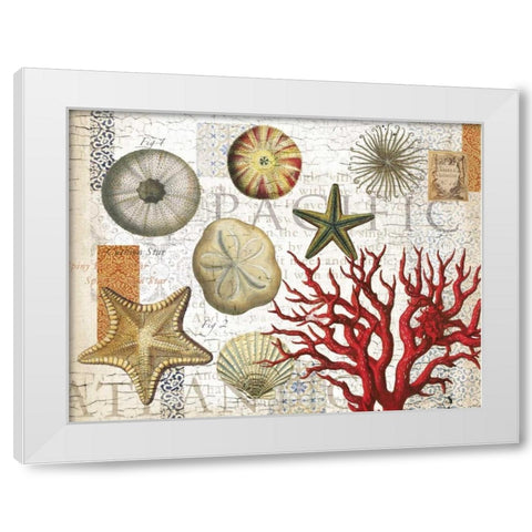 Sea Treasures White Modern Wood Framed Art Print by Allen, Candace
