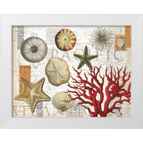 Sea Treasures White Modern Wood Framed Art Print by Allen, Candace