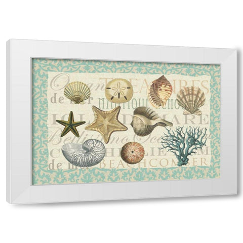 Sea Shell Collection White Modern Wood Framed Art Print by Allen, Candace