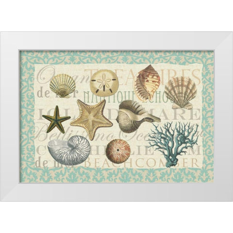 Sea Shell Collection White Modern Wood Framed Art Print by Allen, Candace