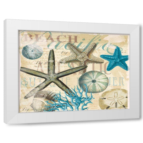 Beach Shells R1 White Modern Wood Framed Art Print by Allen, Candace