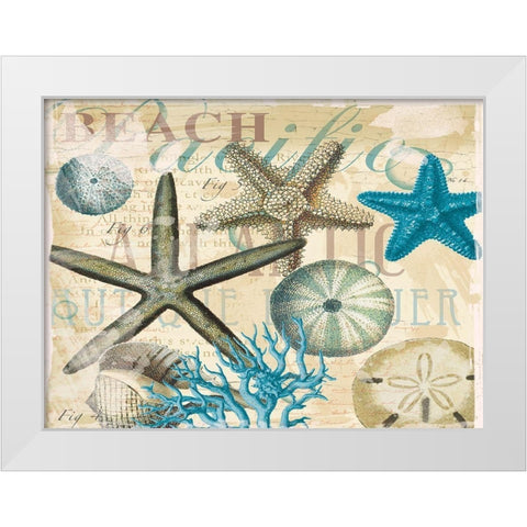 Beach Shells R1 White Modern Wood Framed Art Print by Allen, Candace