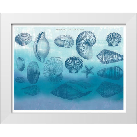 Watercolor Coast Shells 2 White Modern Wood Framed Art Print by Allen, Candace