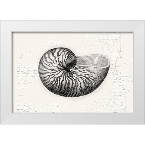 Shell White Modern Wood Framed Art Print by Lula Bijoux and Company