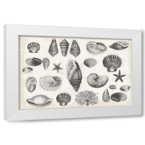 Shell Collage White Modern Wood Framed Art Print by Lula Bijoux and Company