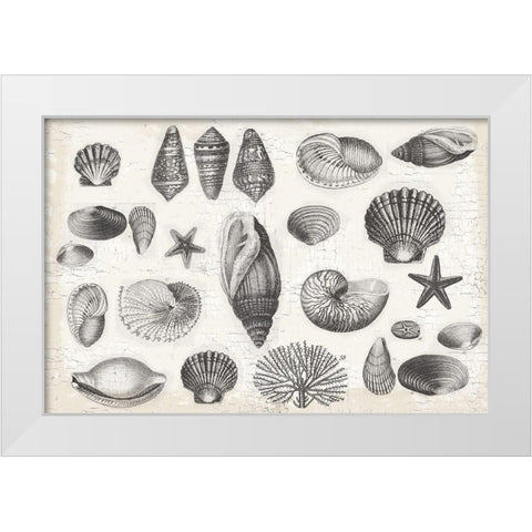 Shell Collage White Modern Wood Framed Art Print by Lula Bijoux and Company