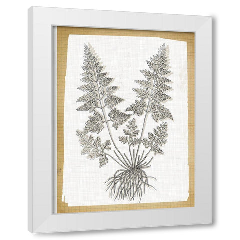 Farmhouse Ferns 1 White Modern Wood Framed Art Print by Lula Bijoux and Company