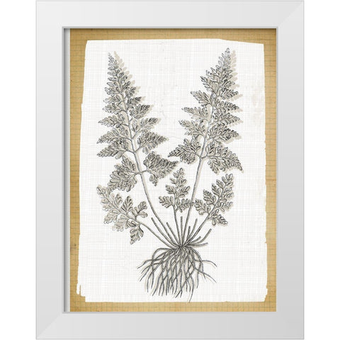 Farmhouse Ferns 1 White Modern Wood Framed Art Print by Lula Bijoux and Company