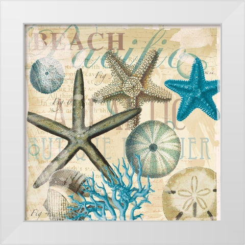 Beach Shells R1 White Modern Wood Framed Art Print by Allen, Candace