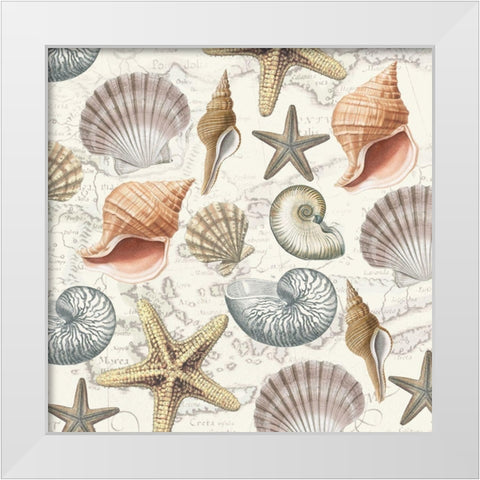 By The Sea Shells 2 White Modern Wood Framed Art Print by Allen, Candace