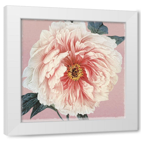 Spring Eden Peony White Modern Wood Framed Art Print by Lula Bijoux and Company