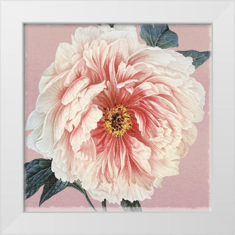 Spring Eden Peony White Modern Wood Framed Art Print by Lula Bijoux and Company