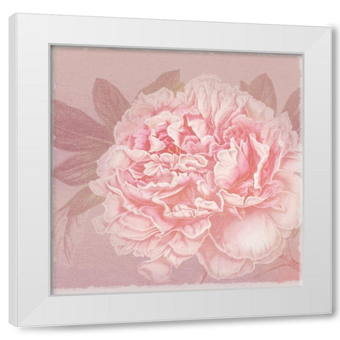 Spring Eden Peony 2 White Modern Wood Framed Art Print by Lula Bijoux and Company
