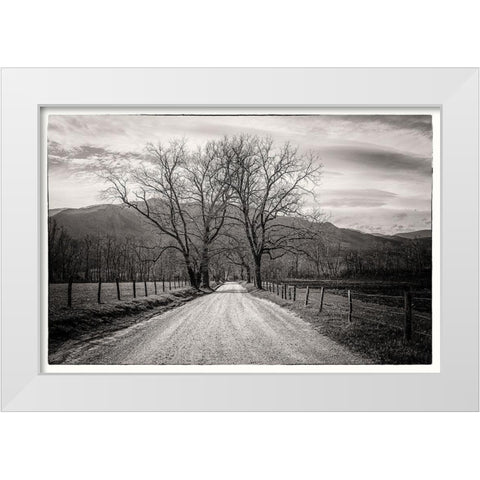 Less Traveled White Modern Wood Framed Art Print by Taylor, Glenn