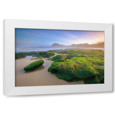 Green Rocks White Modern Wood Framed Art Print by Taylor, Glenn