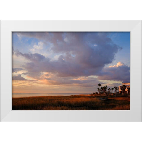 Marsh View White Modern Wood Framed Art Print by Taylor, Glenn