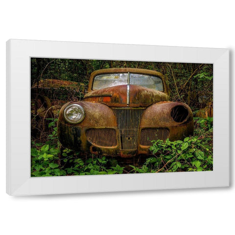 Old Bessy 1 White Modern Wood Framed Art Print by Taylor, Glenn