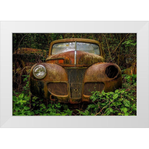 Old Bessy 1 White Modern Wood Framed Art Print by Taylor, Glenn