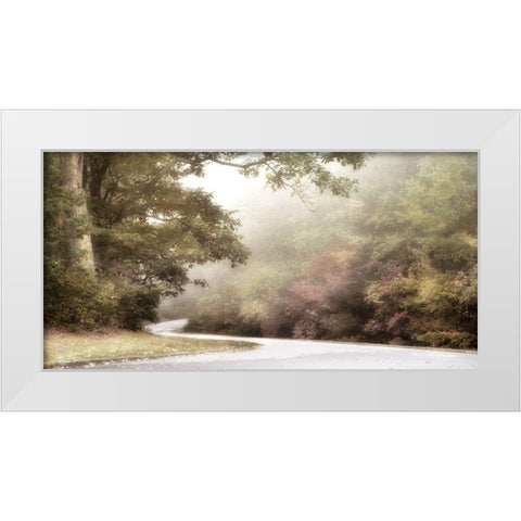 Blue Ridge Parkway White Modern Wood Framed Art Print by Poinski, Dianne