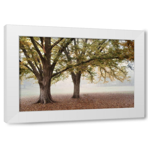 Park 1A White Modern Wood Framed Art Print by Poinski, Dianne