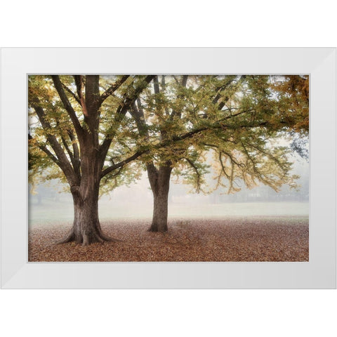 Park 1A White Modern Wood Framed Art Print by Poinski, Dianne