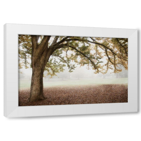 Park 1 White Modern Wood Framed Art Print by Poinski, Dianne